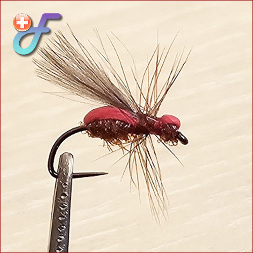 Fischereggä • CDC "Ameise", Rot Foam