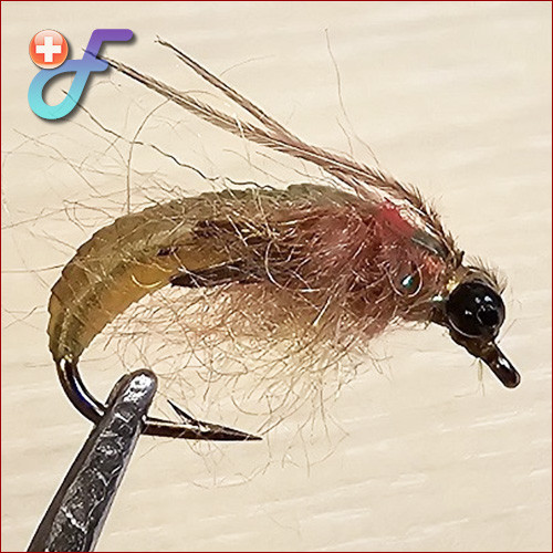 Fischereggä • Caddis Pupa