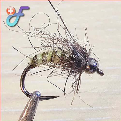 Fischereggä • Caddis Pupa Insekt, Grün