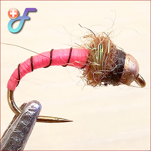 Fischereggä • Micronymphe mit Kupferkopf, Neon Pink