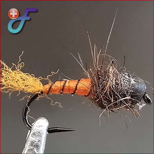 Fischereggä • Schwarzkopf Nymphe, Zimt Antron Tag