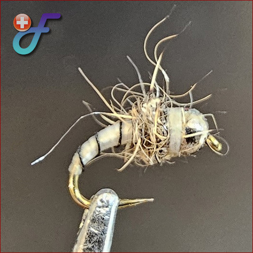 Fischereggä • AM Nymphe, Weiss mit Messing-Silberkopf