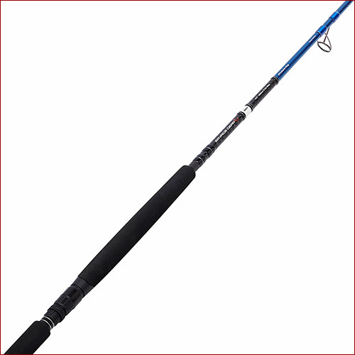 Savage Gear • SG2 Offshore Plug 2.50m MH Rute (30-80g Wg.)
