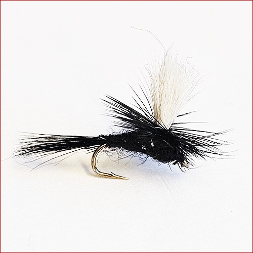 copy of Fischerecke • Para Hopper