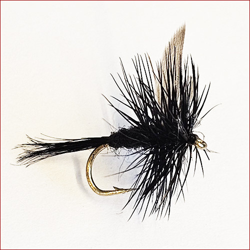 copy of Fischerecke • Para Hopper