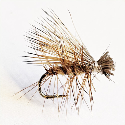 Fischereggä • Elk Hair Caddis - Trockenfliege