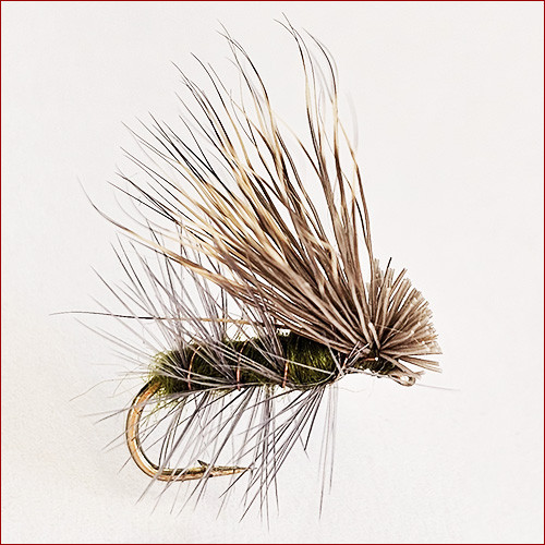 copy of Fischerecke • Para Hopper