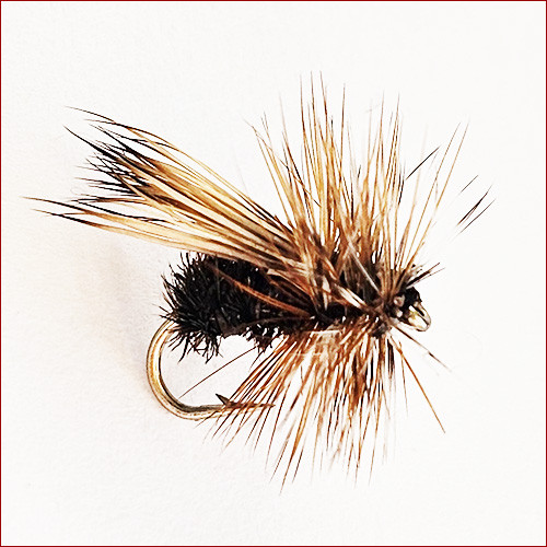 copy of Fischerecke • Para Hopper