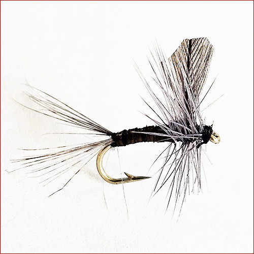 Fischereggä • Baetis Zinger - Trockenfliege