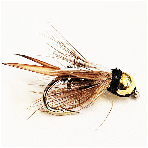 copy of Fischerecke • Para Hopper