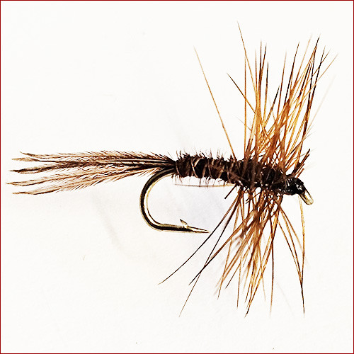 copy of Fischerecke • Para Hopper