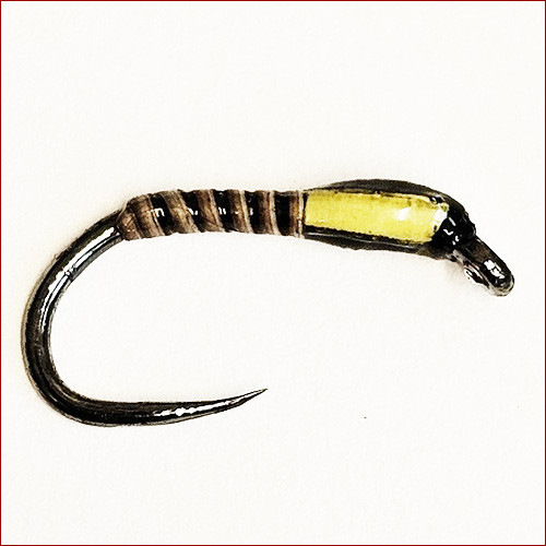 Fischereggä • Buzzer Nymph, gelb