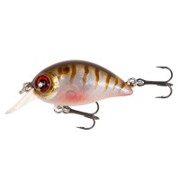 Mikado • SHIMMY - OIKAWA PERCH - Floating