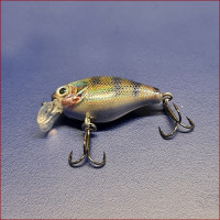 Lifelike Lures • Wobbler
