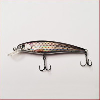 Zielfisch Zander • Wobbler