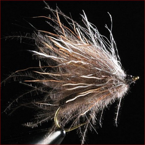 Fischereggä • CDC Caddis Teenager, naturgrau