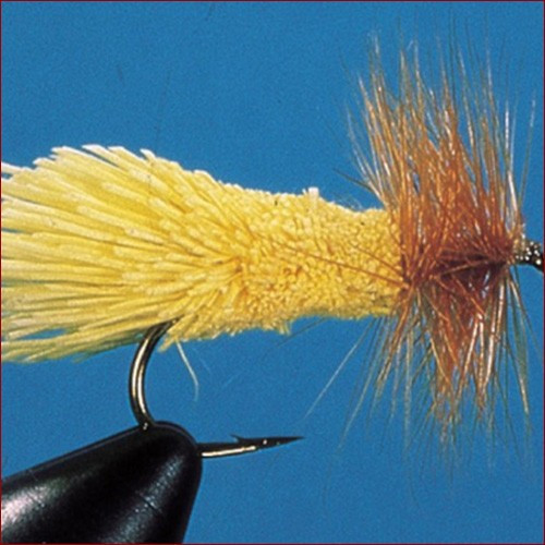 Fischereggä • Yellow Goddard Sedge, "12"