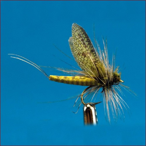 Fischereggä • Trockenfliege "Green Drake" 12