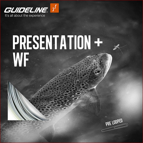 Guideline • Presentation+ WF