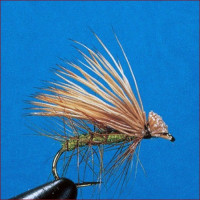 Sedge