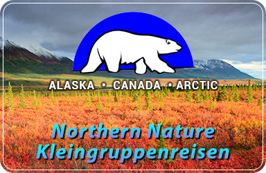 Northern Nature