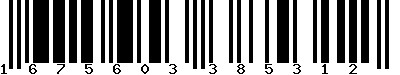 EAN-13 : 1675603385312 EAN-13 : 1675603385312