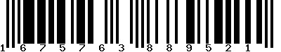 EAN-13 : 1675763889521
