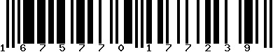 EAN-13 : 1675770177239 EAN-13 : 1675770177239
