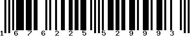 EAN-13 : 1676225529993