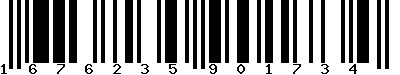 EAN-13 : 1676235901734