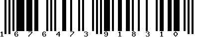 EAN-13 : 1676473918310