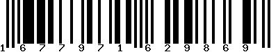 EAN-13 : 1677971629869