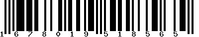 EAN-13 : 1678019518565 EAN-13 : 1678019518565