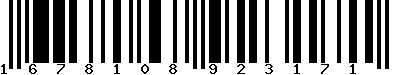 EAN-13 : 1678108923171