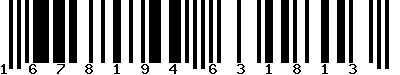 EAN-13 : 1678194631813