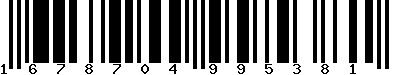 EAN-13 : 1678704995381 EAN-13 : 1678704995381