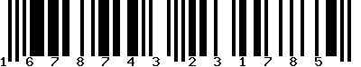 EAN-13 : 1678743231785