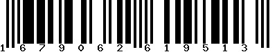 EAN-13 : 1679062619513