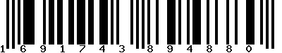 EAN-13 : 1691743894880 EAN-13 : 1691743894880