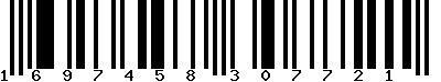 EAN-13 : 1697458307721